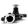 Pompe à eau Yanmar 2TNE68 | 3TNE68