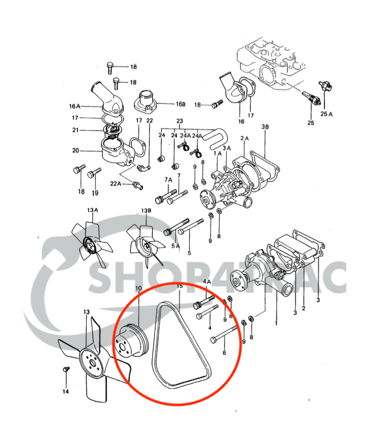 Cinghia trapezoidale Iseki TX1210 | K2B | Shop4Trac