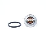 Thermostat Iseki TA | TE | TL | TS | TG | SGX | TM