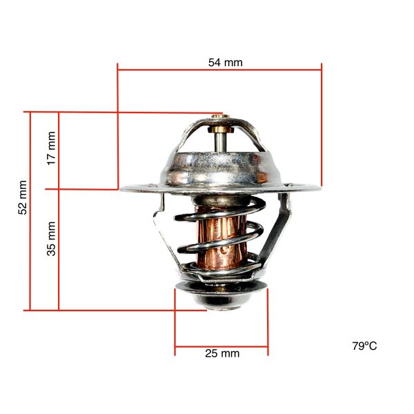 Termostato Hinomoto C142 – C174 | E1802 – E2304 | E202 – E324 | E21 – E25 | Buon pane