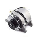 Lichtmaschine Iseki Tx1000 | TX1300 | TX1500 | KE70 - KE75