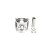 Kolben Kubota V2003(IDI) | D1503IDI Indirekte Einspritzung | Rotluchs | Schäffer | Shop4Trac
