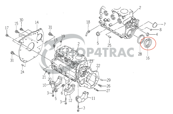 Joint de vilebrequin avant+arrière Iseki TS | TL | TA | TU – OEM: 6509-625-0360-0, 65096250360, 569099244490