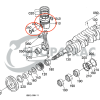 Kolben D1403 | V1903 | V1903-B | V1903E | 4D80 | Shop4Trac