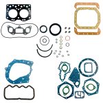 Jeu de joints Iseki TS1610 - TS1910 | 2AA1 | 2AB1 | Bolens G192 - G244