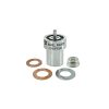 Iniettore di carburante per iniettore Kubota D1403 | D1463 - D1703 - V2003 - V2203 | Hinomoto | Terex | DN0PD80 | Giant | Doosan