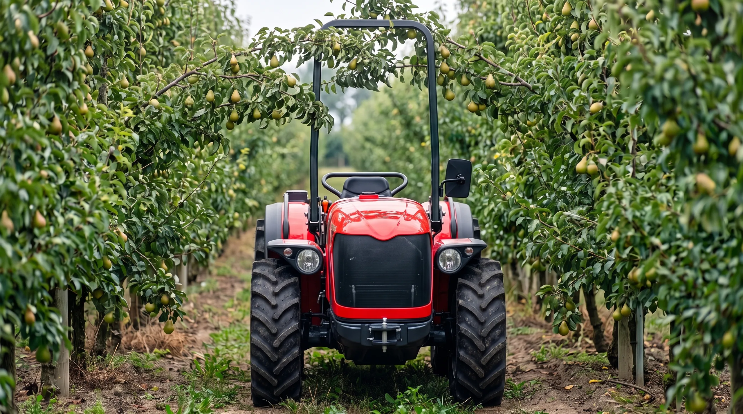 Antonio Carraro TGF Obstbautraktor in Niedrigbauweise
