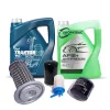 Wartungskit komplett Iseki SG13 | SG15 | SG17 | SG153 | SG173